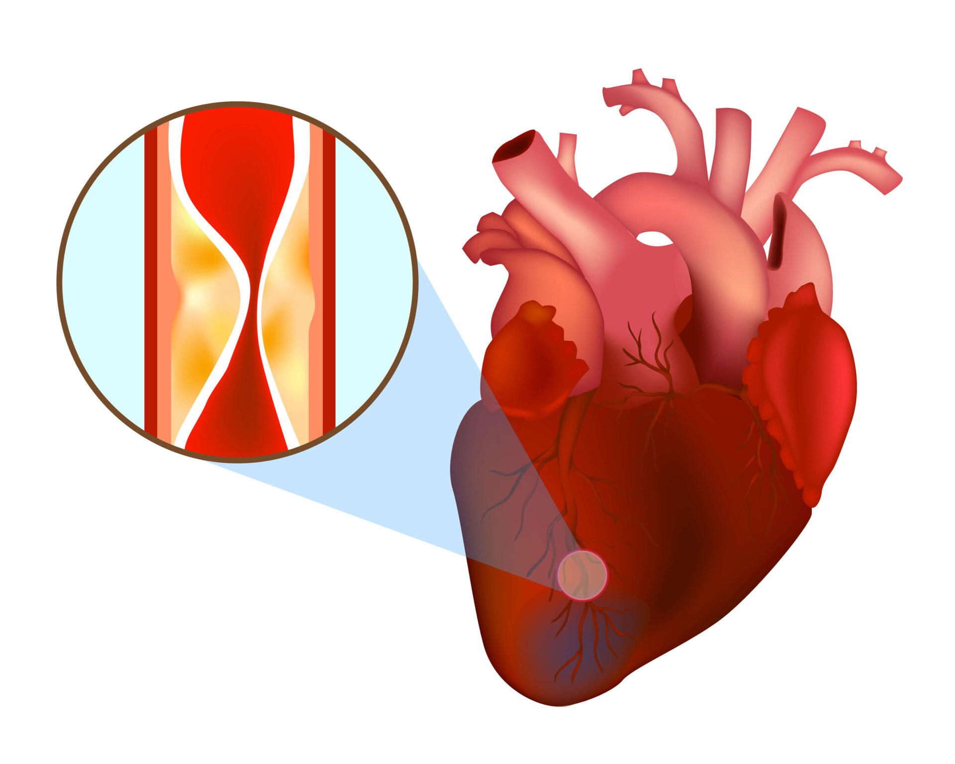 Ilustracja serca